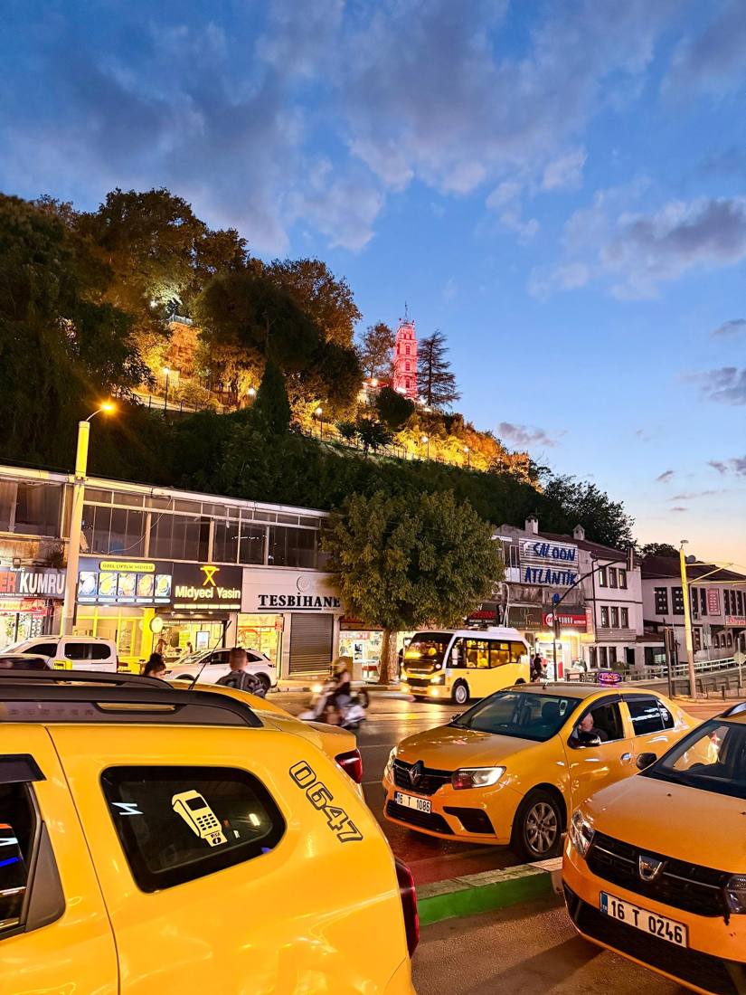Bursa